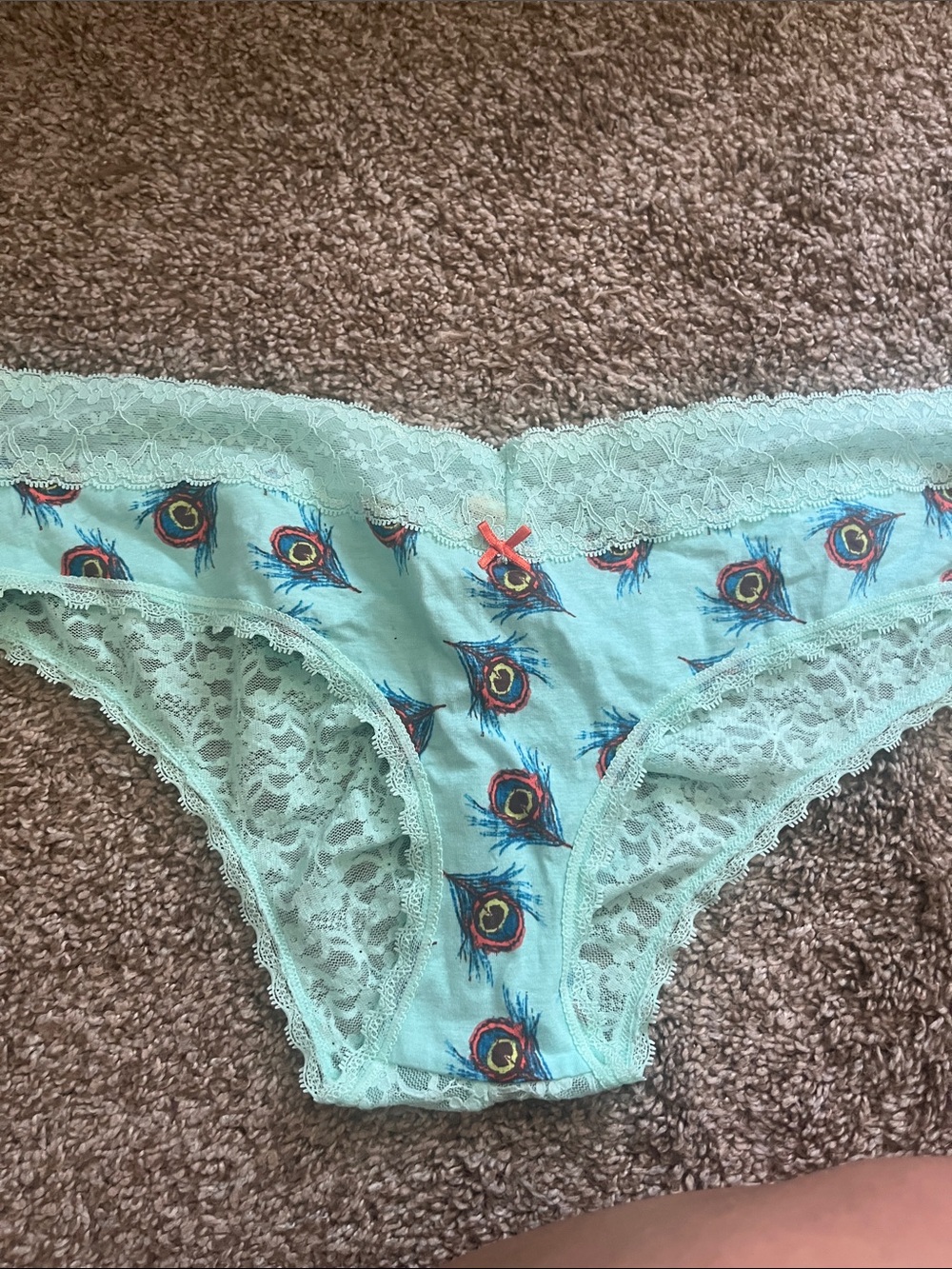 NWT aerie Mint Bikini Panty with Peacock Feather Print